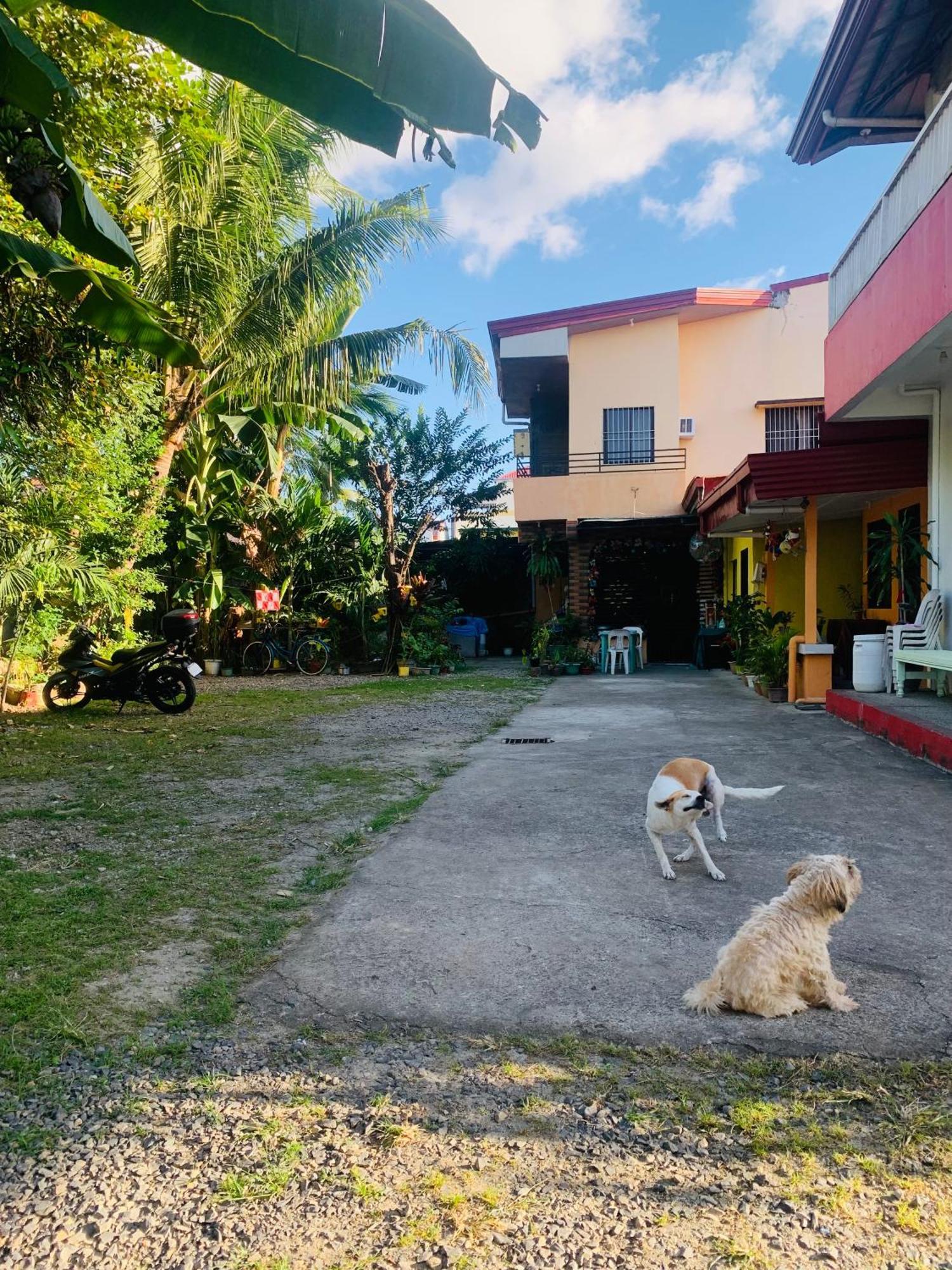 Perlies Inn Tanay Barkada House Exterior photo